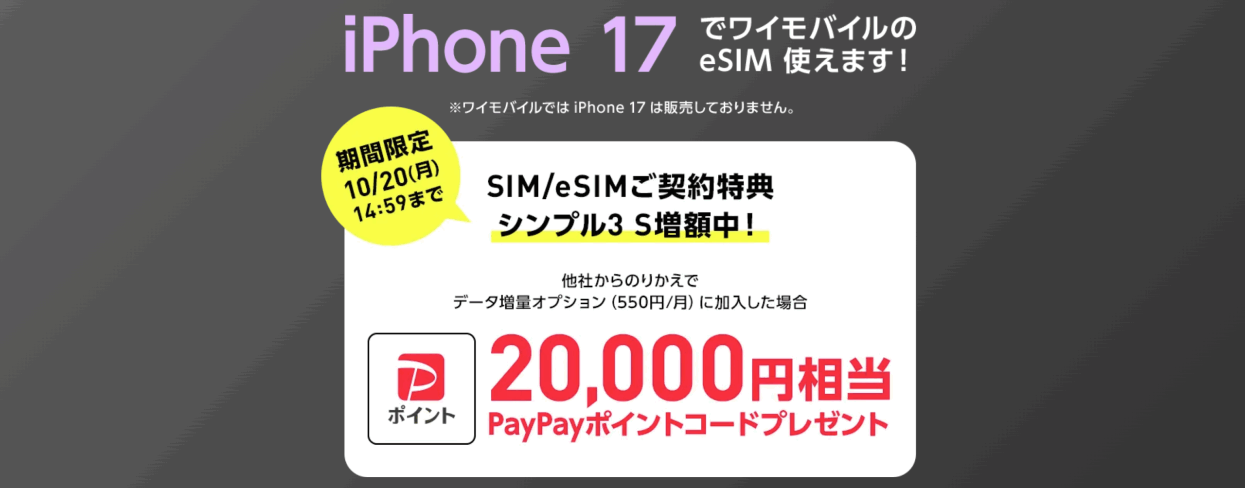 ワイモバイル SIMのみ乗り換え20,000pt