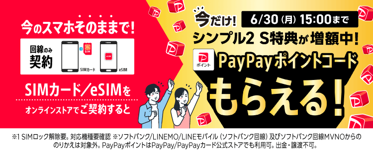 ワイモバイルのSIMのみ特典