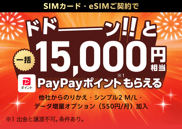 ワイモバイル SIMのみ特典