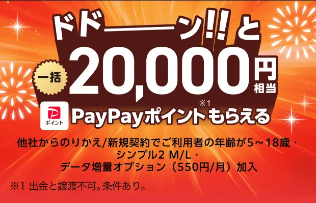 一括20,000円相当PayPayポイント還元