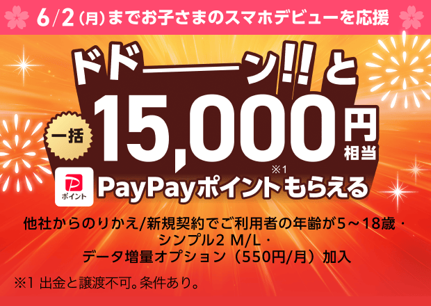 ワイモバイルのSIM15000得点