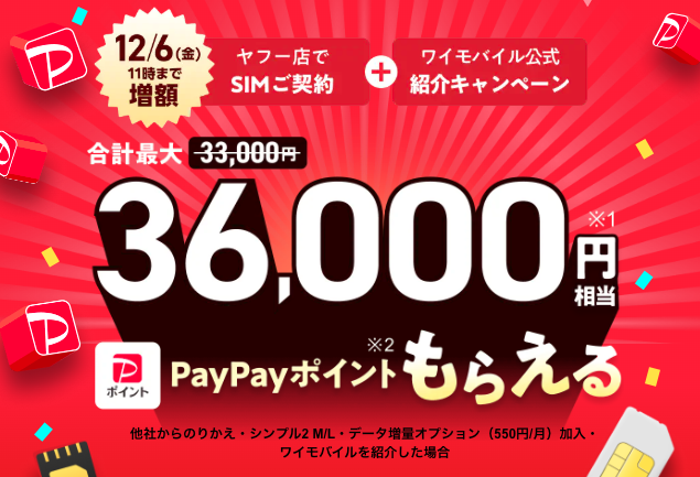 最大36,000円相当PayPayポイントもらえる