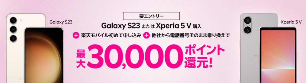 対象機種30000ポイント還元